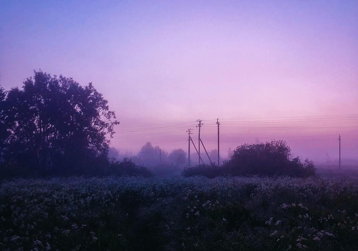 奇异果体育官方网站-5年2.05亿续约！戈贝尔发布亲笔信：我要在这里夺冠